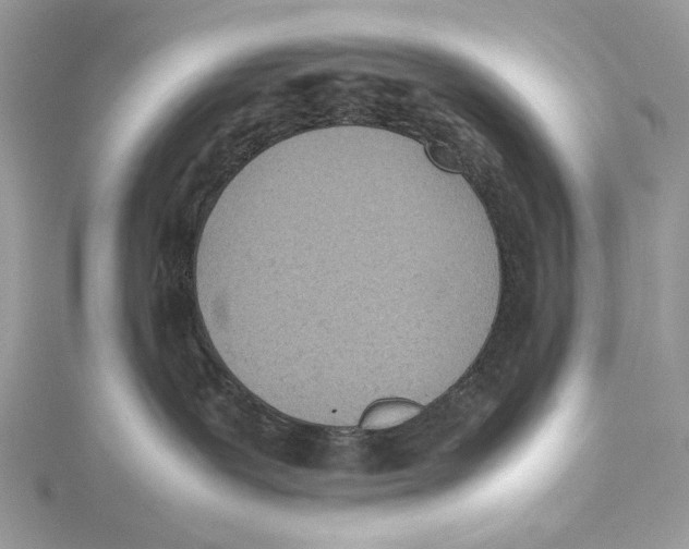 X0000115540239200912041017