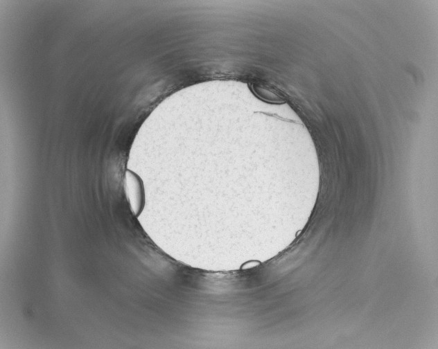 X0000115540240200912041017