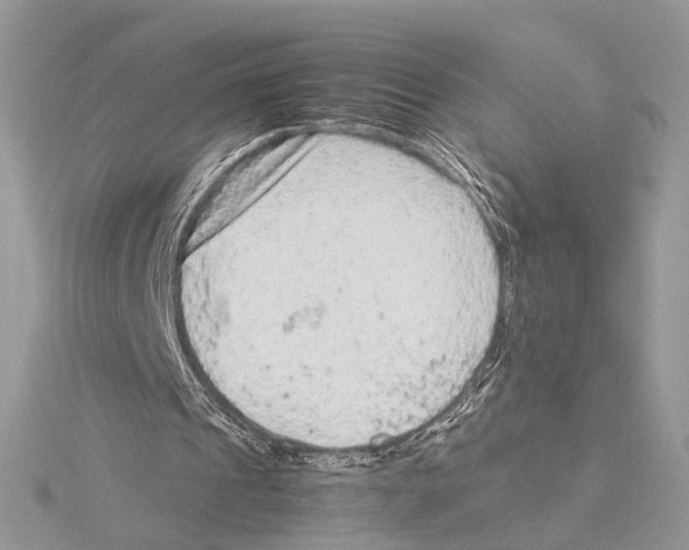 X0000115540241200912041017