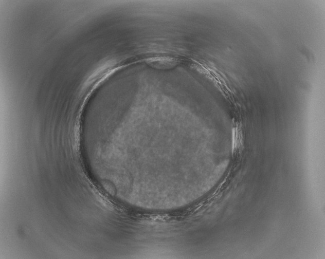 X0000115540243200912041017