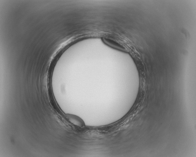 X0000115540244200912041017