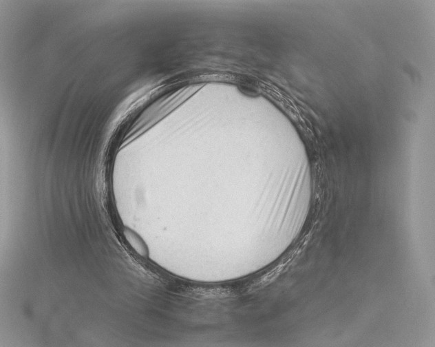 X0000115540245200912041017