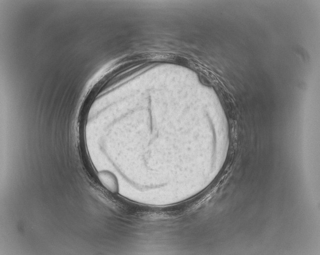 X0000115540246200912041017