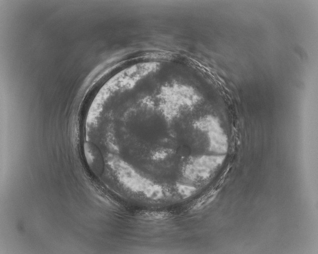 X0000115540247200912041017