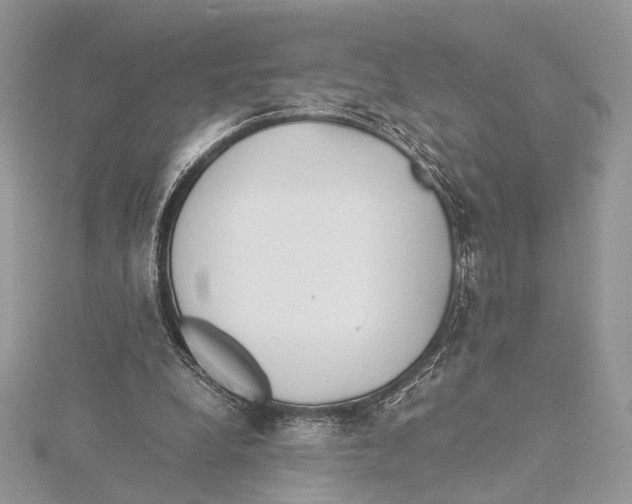 X0000115540248200912041017