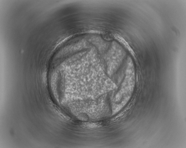 X0000115540249200912041017