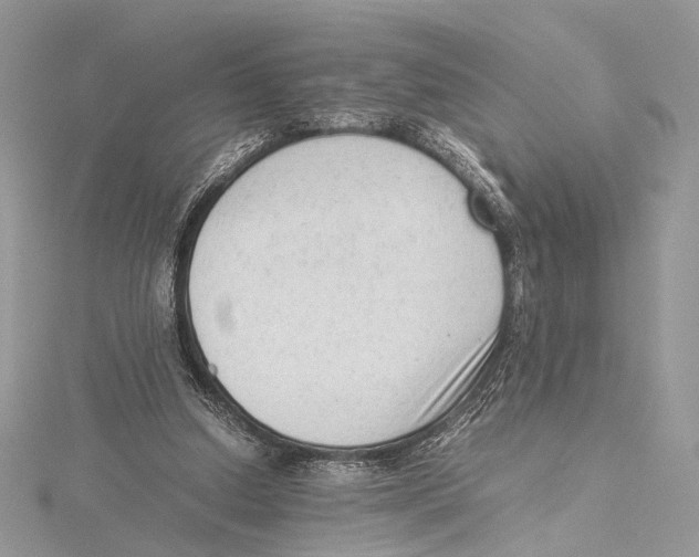 X0000115540250200912041017