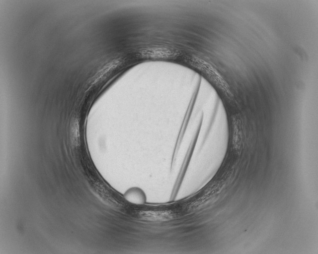 X0000115540251200912041017