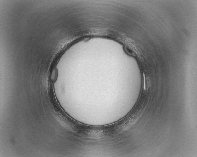 X0000115540252200912041017