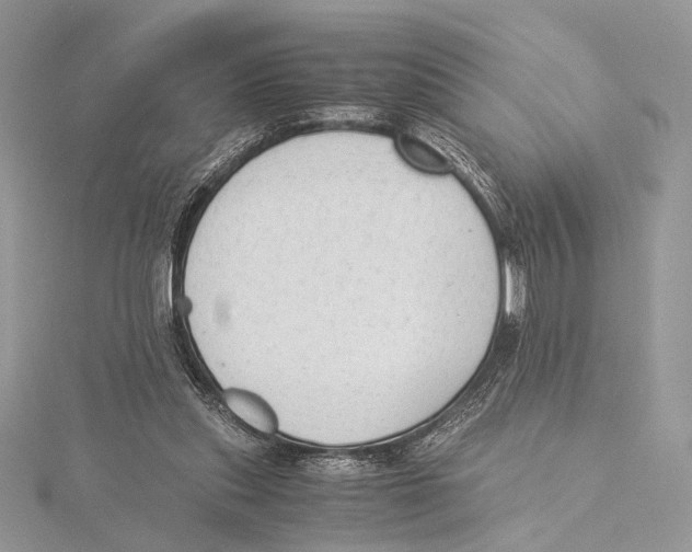 X0000115540253200912041017