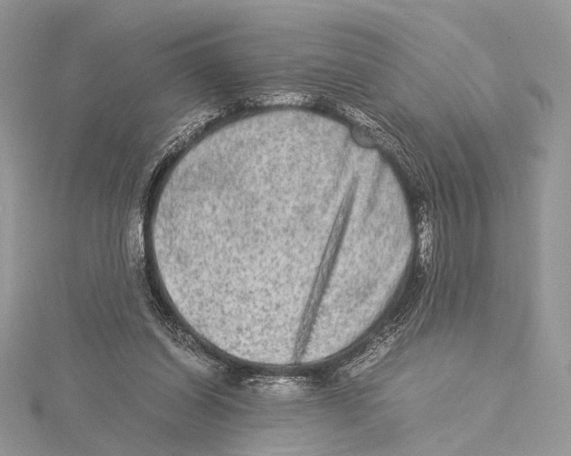 X0000115540254200912041017