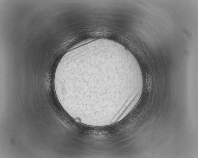 X0000115540255200912041017