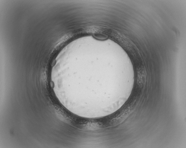 X0000115540256200912041017