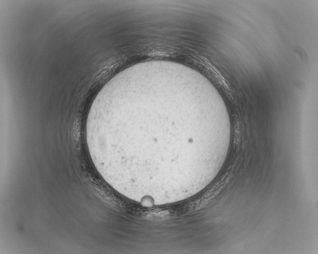 X0000115540257200912041017