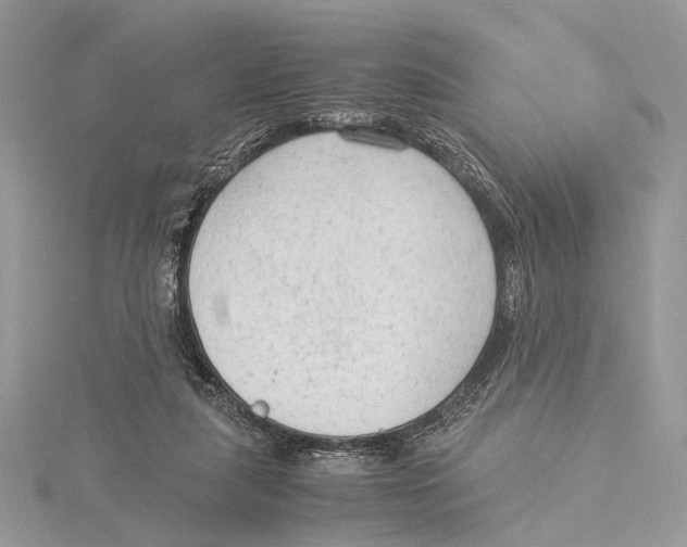 X0000115540259200912041017