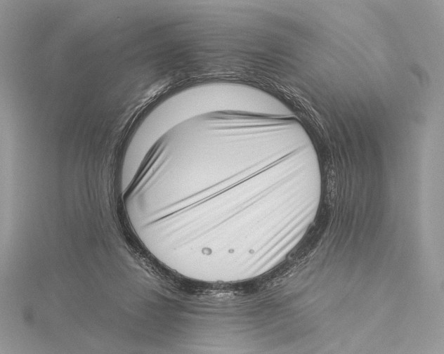 X0000115540260200912041017