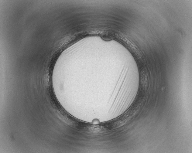 X0000115540261200912041017