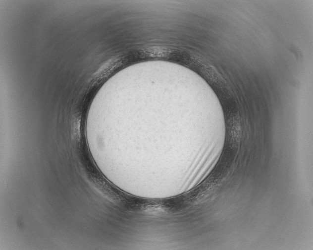 X0000115540262200912041017