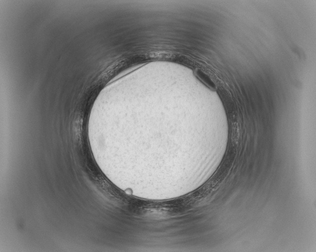 X0000115540263200912041017