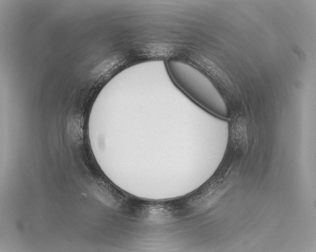 X0000115540264200912041017