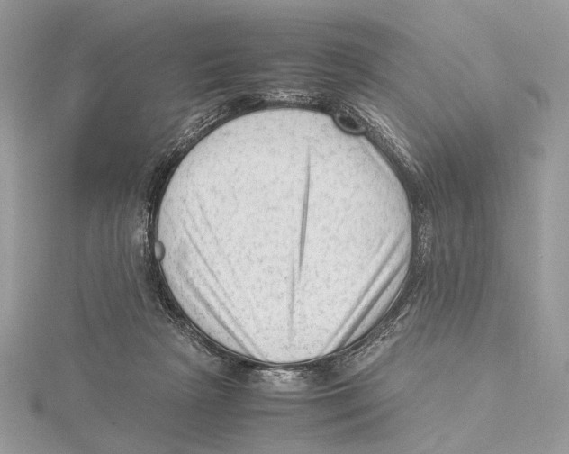 X0000115540265200912041017