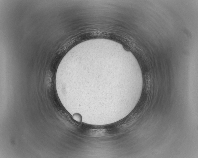 X0000115540266200912041017