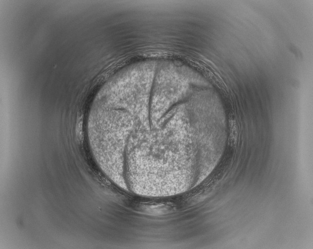 X0000115540267200912041017