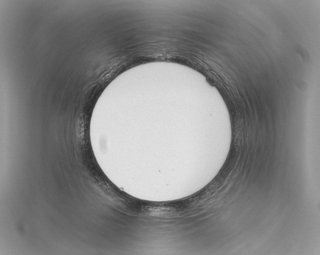 X0000115540268200912041017