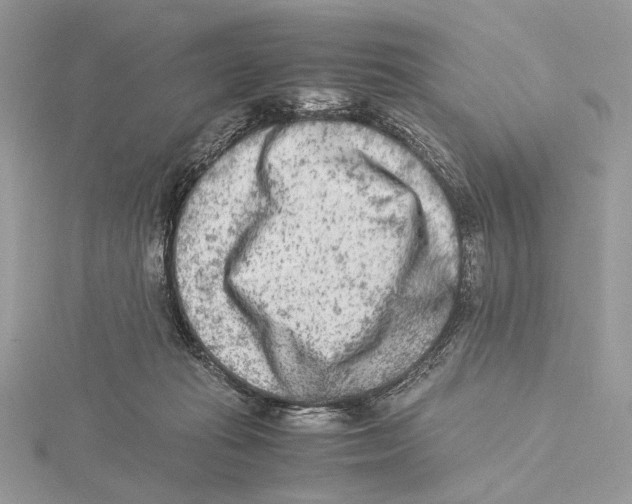 X0000115540269200912041017