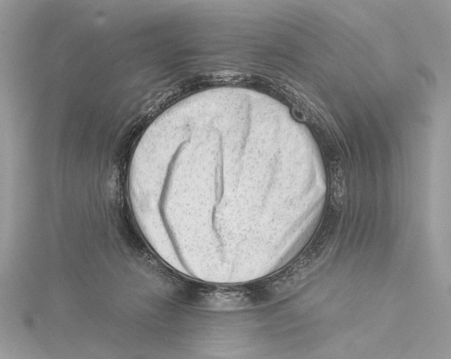 X0000115540270200912041017