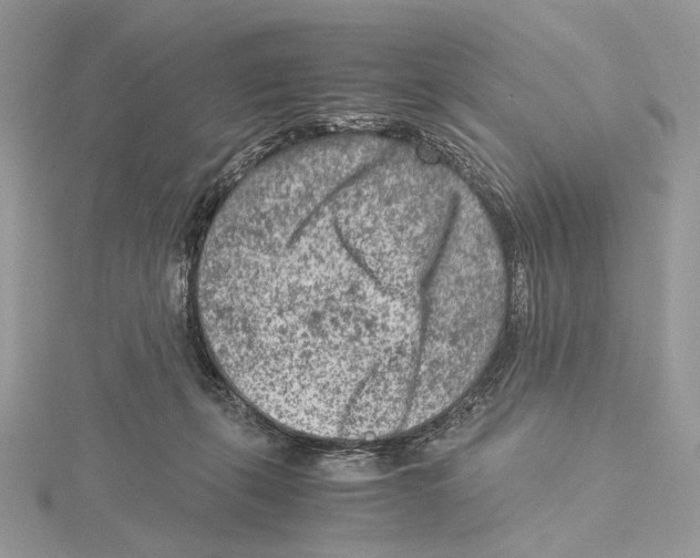 X0000115540271200912041017