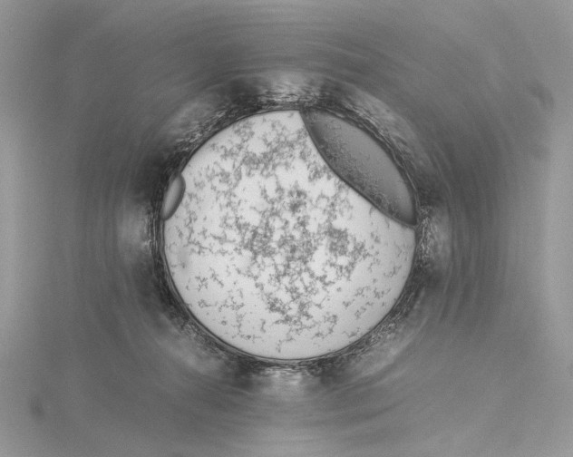 X0000115540272200912041017