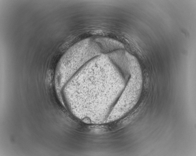 X0000115540273200912041017