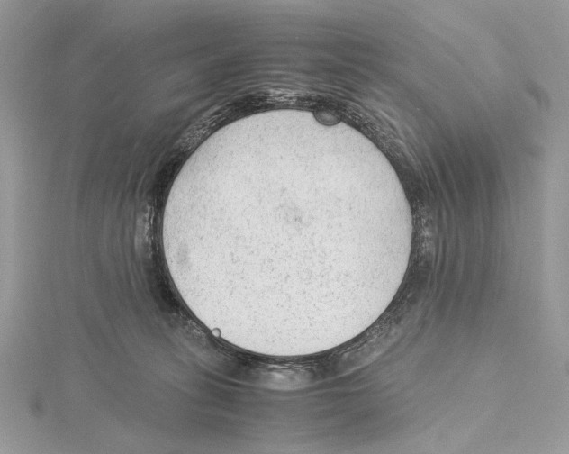 X0000115540275200912041017