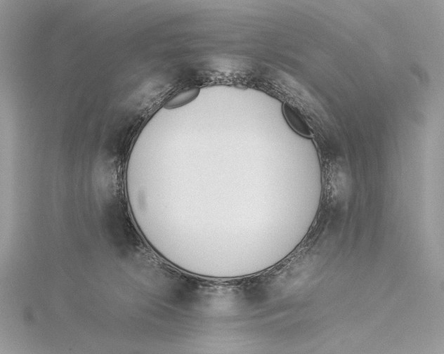 X0000115540276200912041017