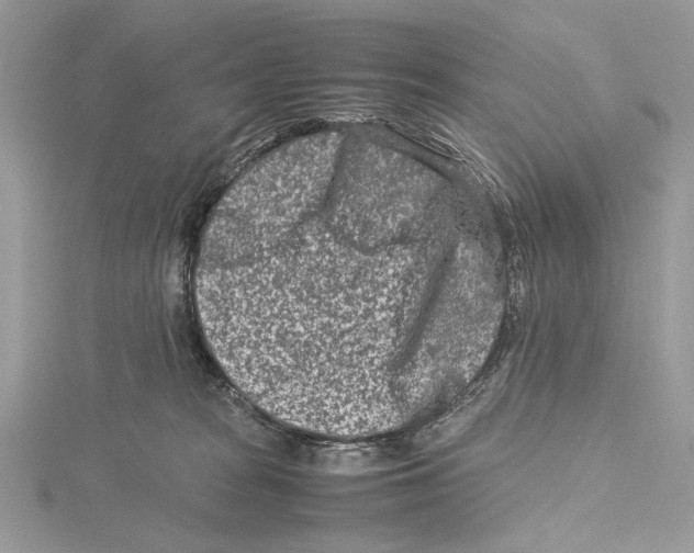 X0000115540277200912041017