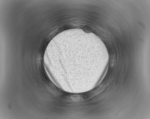 X0000115540279200912041017