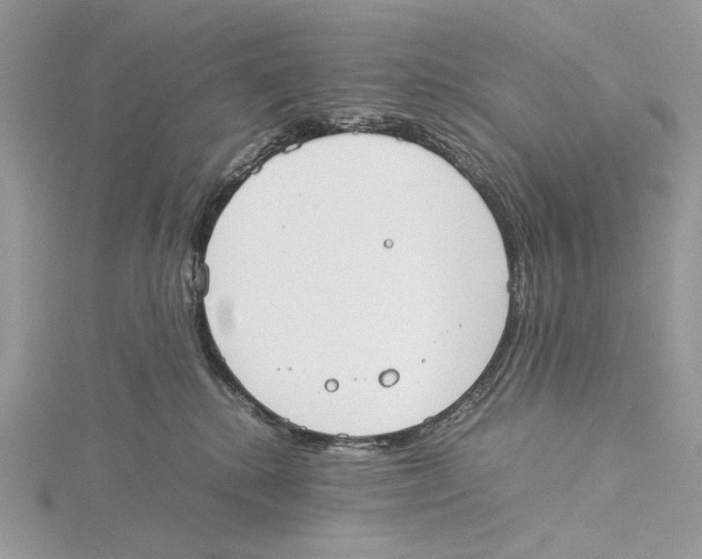 X0000115540280200912041017