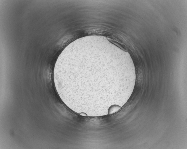 X0000115540282200912041017