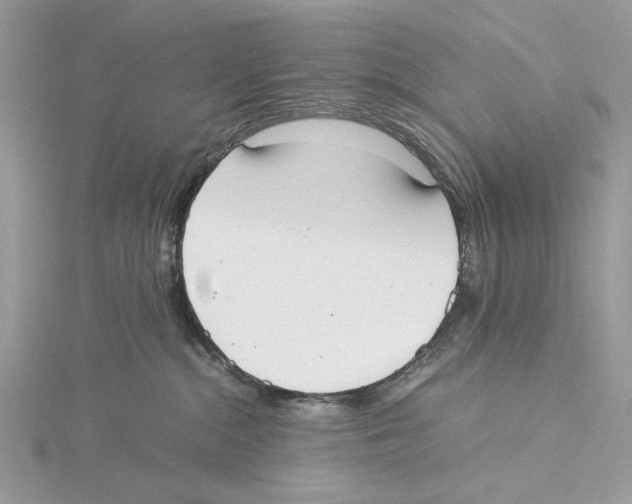 X0000115540284200912041017