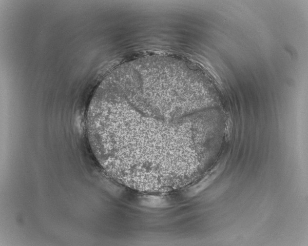 X0000115540285200912041017