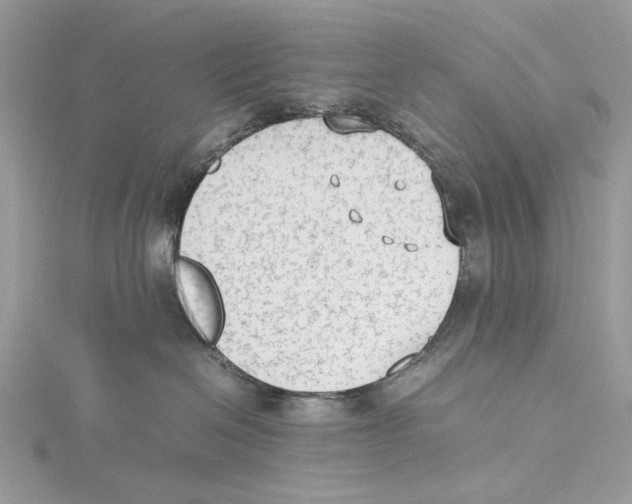 X0000115540286200912041017