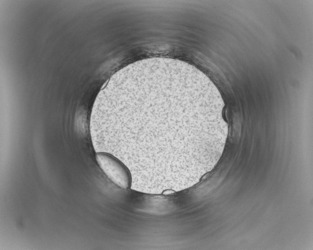 X0000115540287200912041017