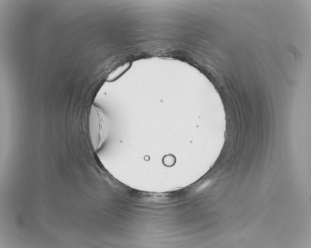 X0000115540288200912041017