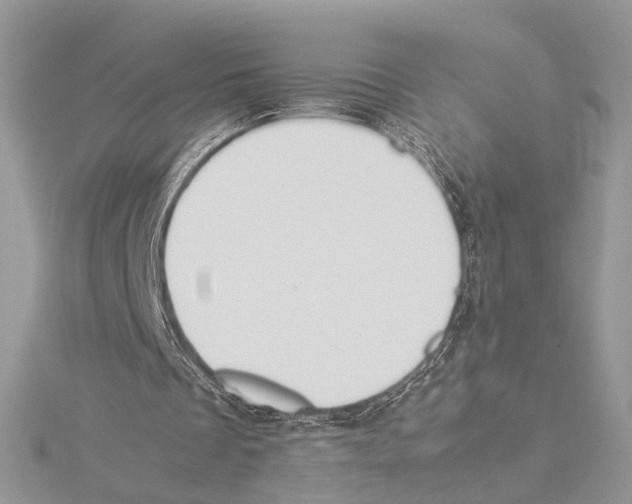 X0000115540289200912041017