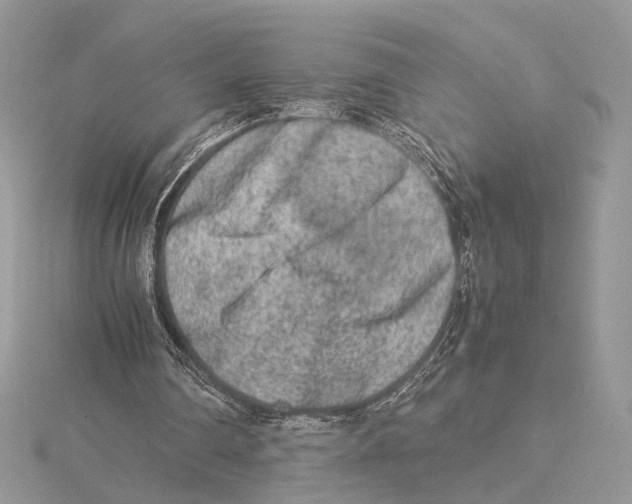 X0000115540290200912041017