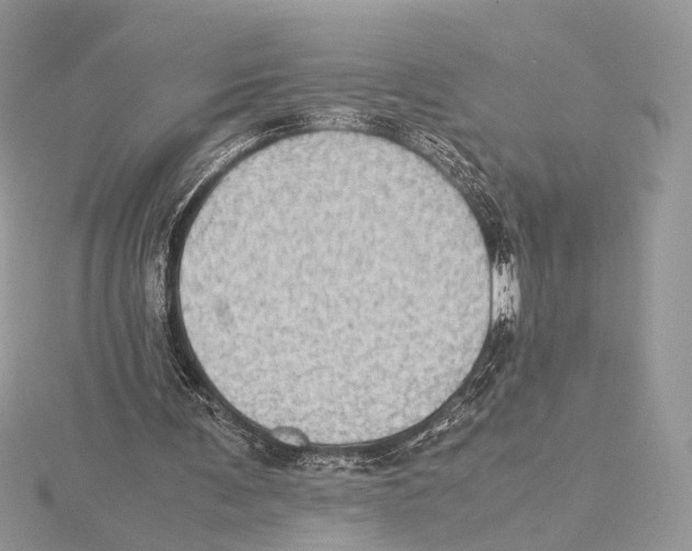 X0000115540291200912041017