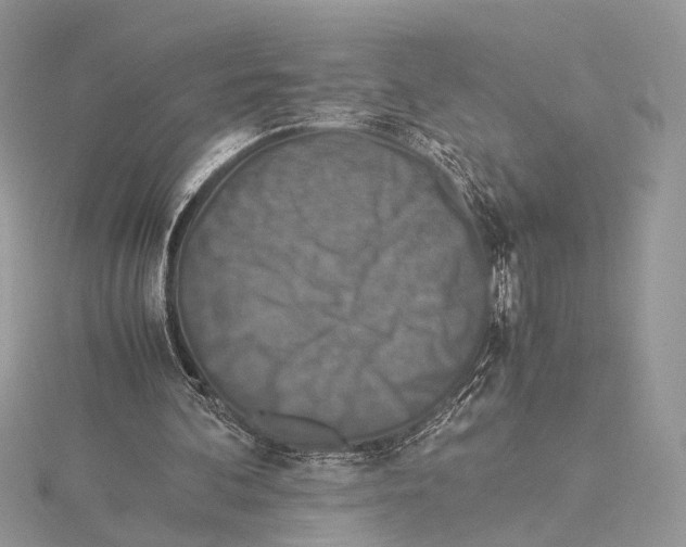 X0000115540292200912041017