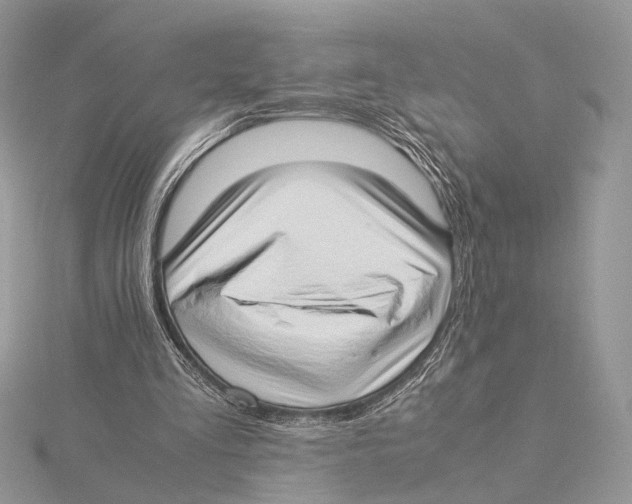 X0000115540293200912041017