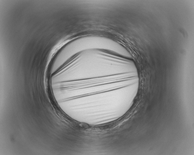 X0000115540294200912041017